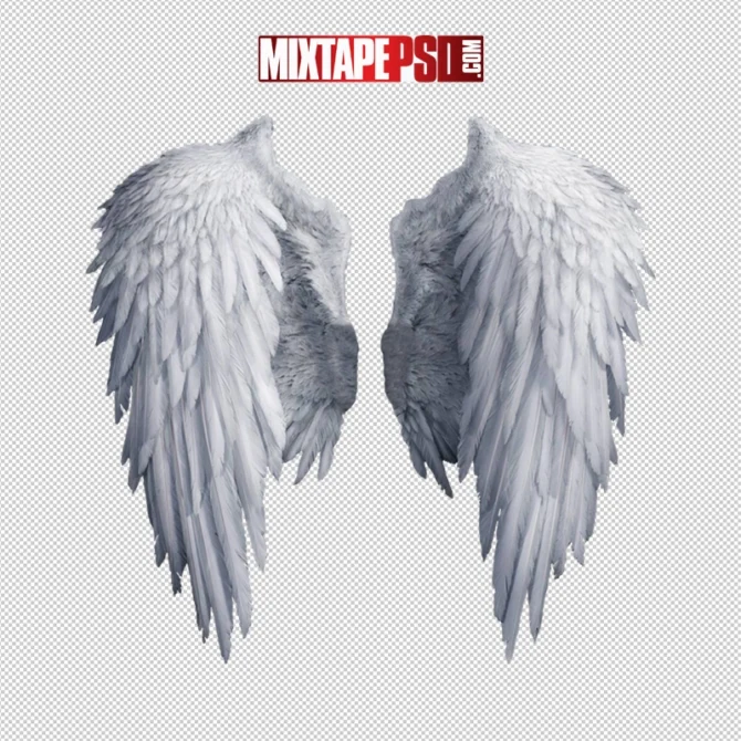 Feathered Angel Wings